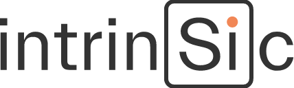 Intrinsic AI Solutions